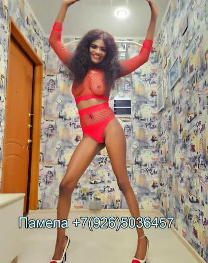 Проститутка Памела - Фото 1 №176501